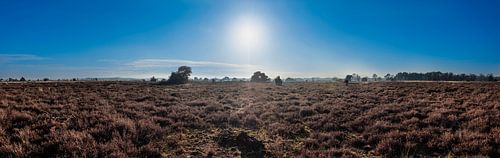 Strabrechtse Heide - Panorama