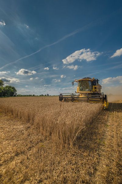 Battage du grain au moulin de Steendert par Moetwil en van Dijk - Fotografie