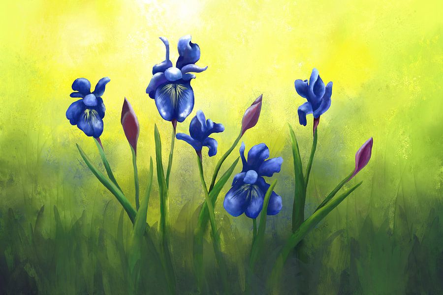 Painting of Purple Iris Flowers