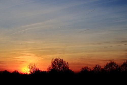 A beautiful sunset in Amsterdam