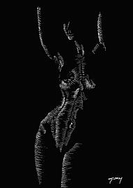 Zebra Girl by Gilles D'Hoker