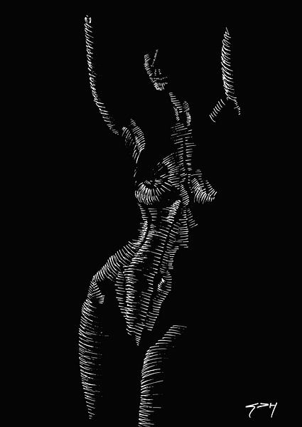 Zebra Girl by Gilles D'Hoker