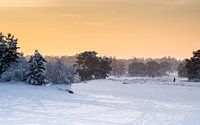 Walking in a winter wonderland van Nick de Kruijk thumbnail