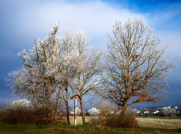 Veldkruis tussen ijzige bomen van ManfredFotos