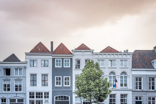 Straatbeeld van woningen aan de Brede Haven in Den Bosch