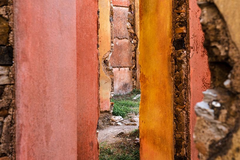 deep look by Harry Cathunter