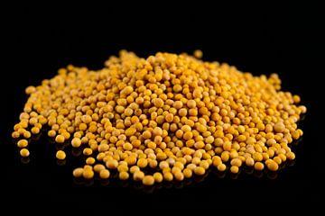 Stack of mustard seeds on a black background by Sjoerd van der Wal Photography