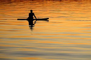 Silhouet paddleboarder vreedzame zonsondergang