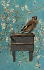 Der Stieglitz und die Mandelblüte von Digital Art Studio