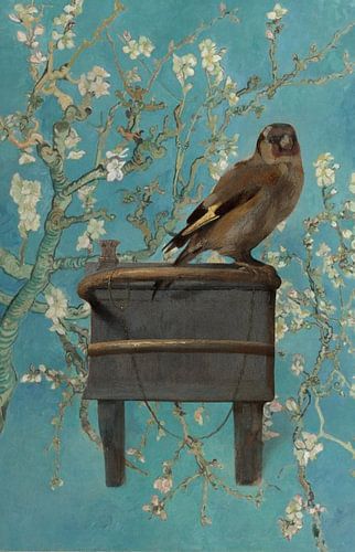 Het Puttertje en de Amandelbloesem