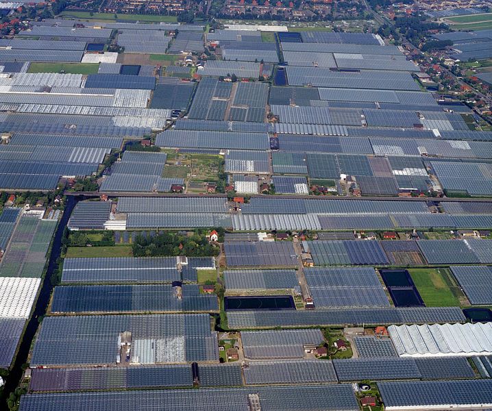 1988: Historical aerial photograph of the greenhouses in Wateringen by Frans Rombout