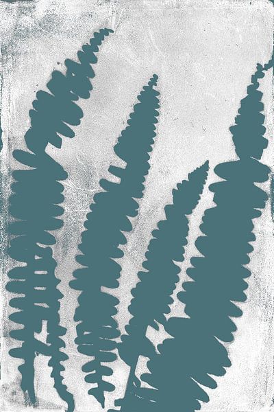 Modern botanical art. Teal blue fern leaves on white by Dina Dankers
