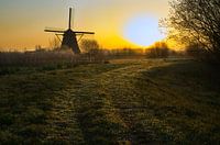 Sonnenaufgang hinter der Mühle