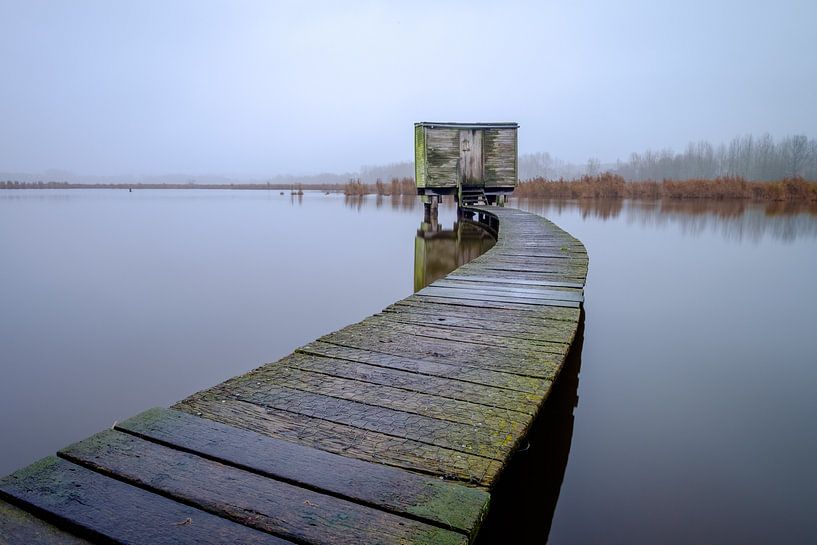 Vogelkijkhut op Het Vinne van Johan Vanbockryck