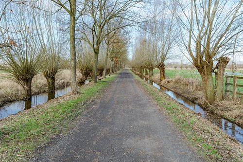 Gravel road through the Meersen by Mister Moret
