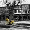 Le vélo jaune sur Catherine Fortin