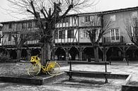 Le vélo jaune von Catherine Fortin Miniaturansicht