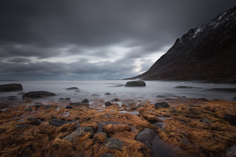 Norway Winter Landscape by marcel wetterhahn