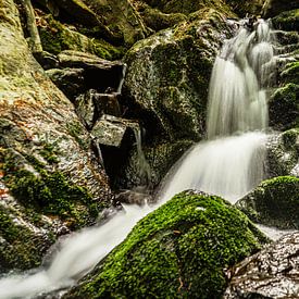 Natur Erzgebirge von Johnny Flash