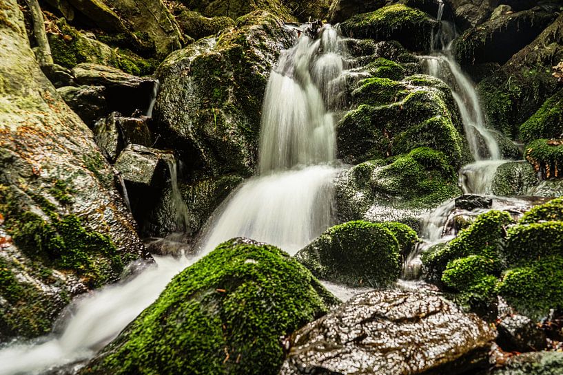 Natur Erzgebirge von Johnny Flash