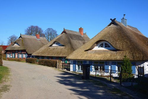 Kapitänshäuser in Wustrow - Ostsee