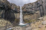 Svartifoss-Wasserfall in Island von Reis Genie Miniaturansicht