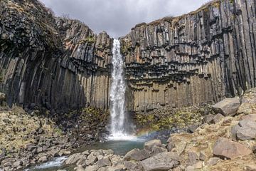 Svartifoss-Wasserfall in Island von Reis Genie