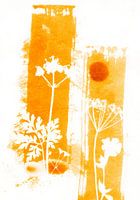 Summer Floral Lines