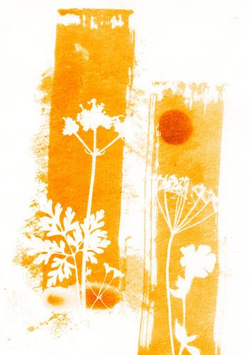 Zomerse Bloemen Lijnen