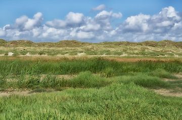 Dune landscape in Denmark by Iris Heuer