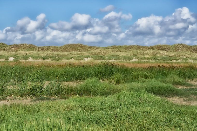Dünenlandschaft in Dänemark von Iris Heuer