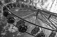 Dans le cercle de la vie