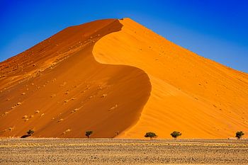 Majestic dune in the Namib Desert near Sossusvlei