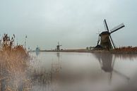 Mist over de windmolens van de Kinderdijk von Brian Morgan Miniaturansicht