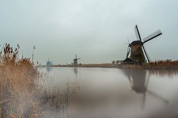 Mist over de windmolens van de Kinderdijk