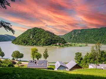 Schlögener Schlinge an der Donau Österreich von Animaflora PicsStock
