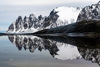 Tungeneset