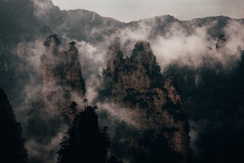 Fog through the mountains