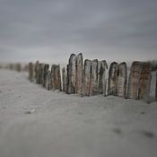 JJ Luijendijk Profilfoto