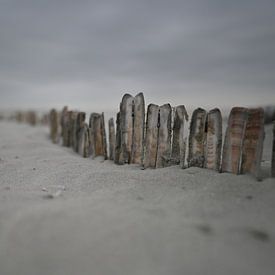 JJ Luijendijk Profilfoto