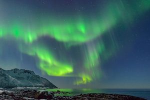 Nordlichter, Polarlicht oder Aurora Borealis im nächtlichen Himmel über Senja
