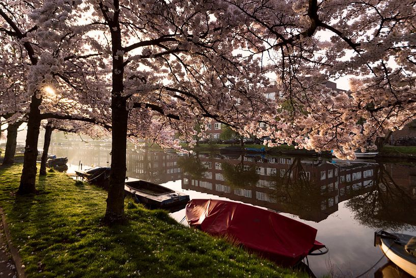 Spring in Amsterdam by Leon Doorn