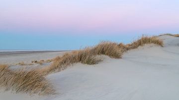 Pink Dunes 1 by Wad of Wonders