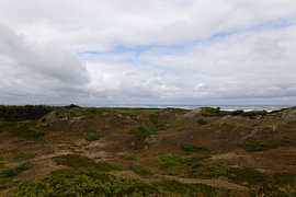 Bilder von der ostfriesischen Nordseeinsel Langeoog. von Bianca Meyering Fotos - BMF