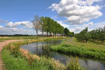 Rivierenlandschap Maas en Waal van M de Vos