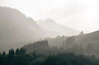 Hochsommer auf der Alm von Sophia Eerden Miniaturansicht