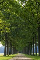 Gardens of Groeneveld