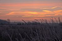 Mysterieuze morgen
