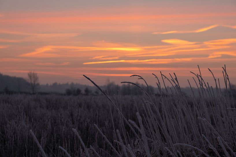 Mysterieuze morgen by Ilma Fotografie
