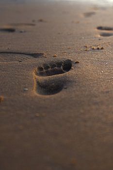 Ein Fußabdruck im Sand